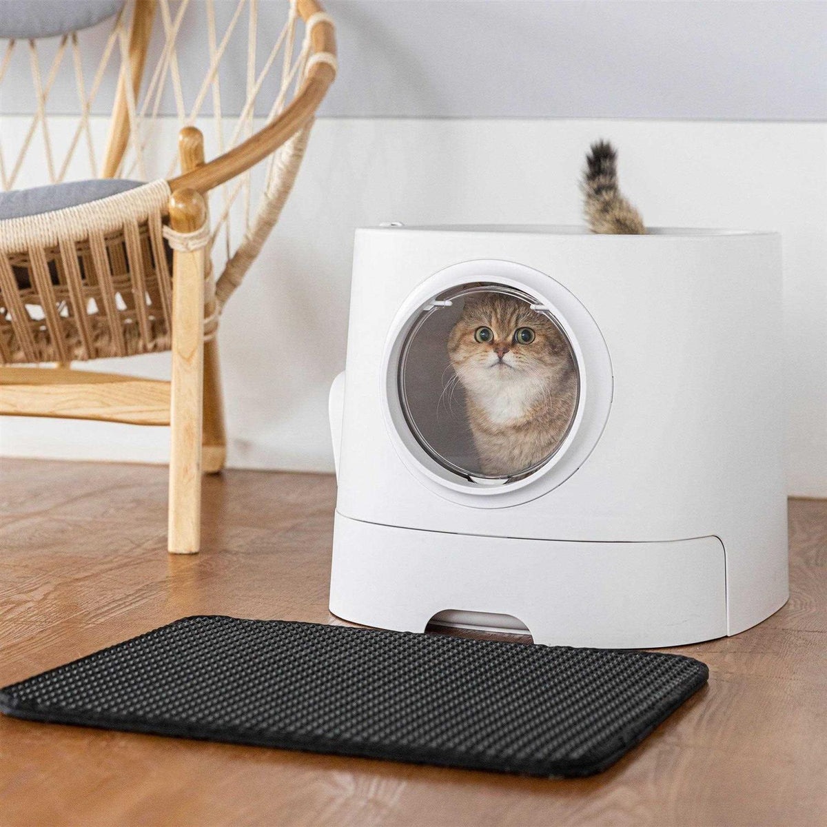 Extra Large Cat Litter Box with Scoop N96906
