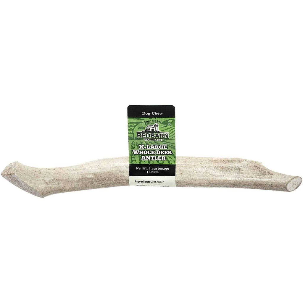 Deer Antler U6470