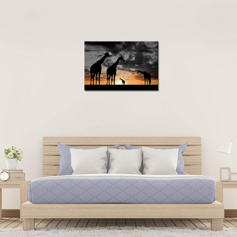 Canvas Wall Art Africa Golden Sunset Landscape Poster Black and White 16x24 I8274