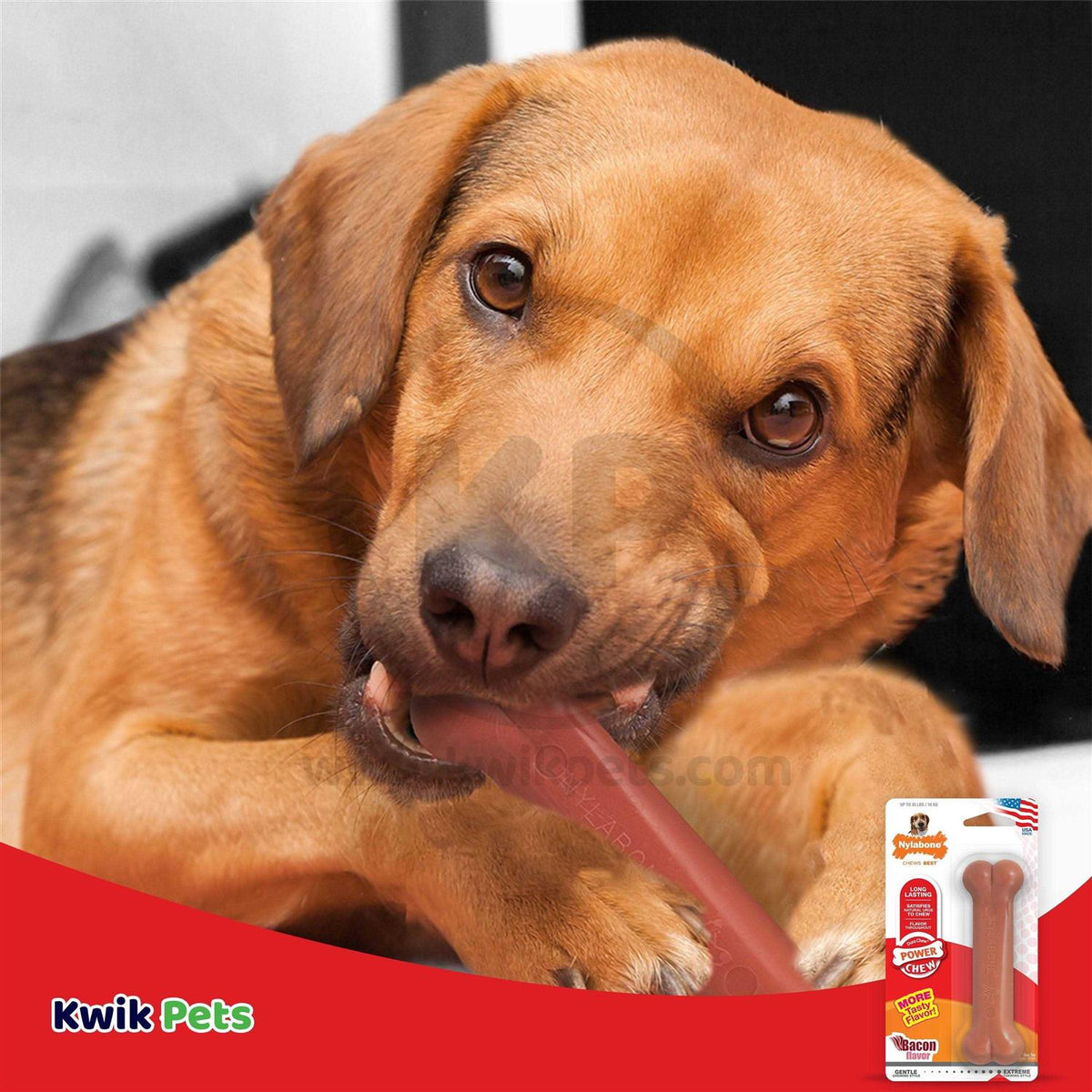 Bacon Chew Bone P91248