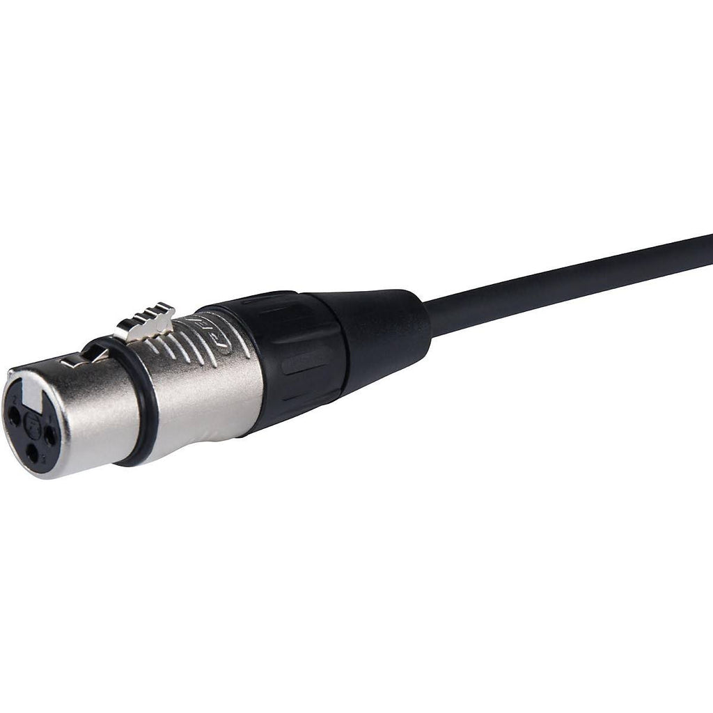 Black XLR Microphone Cable 100 ft M843578