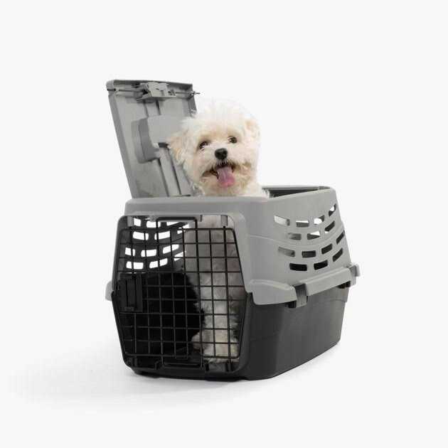 Small Pet Travel Carrier with Front and Top Access S63692