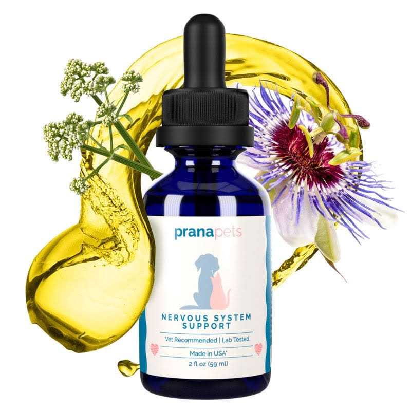 Nervous System Support for Dogs Q793
