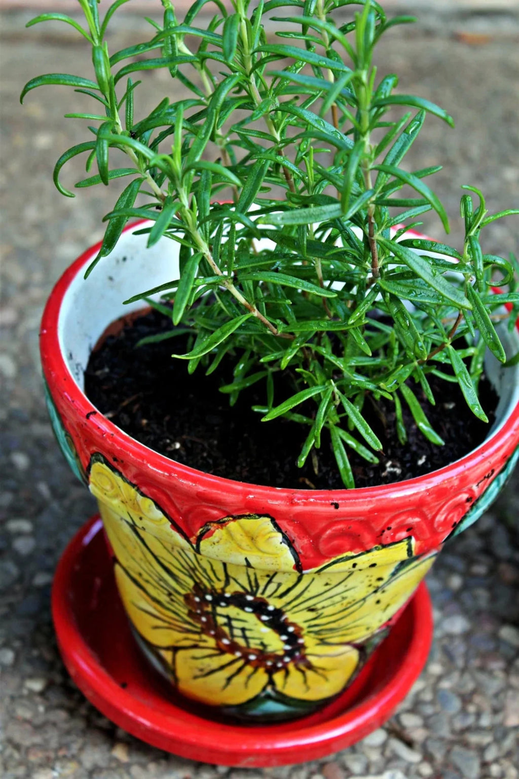 Spanish Garden Pot B32400