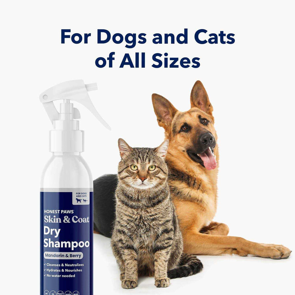 Dog Dry Shampoo Waterless No Rinse Foaming Formula K255495