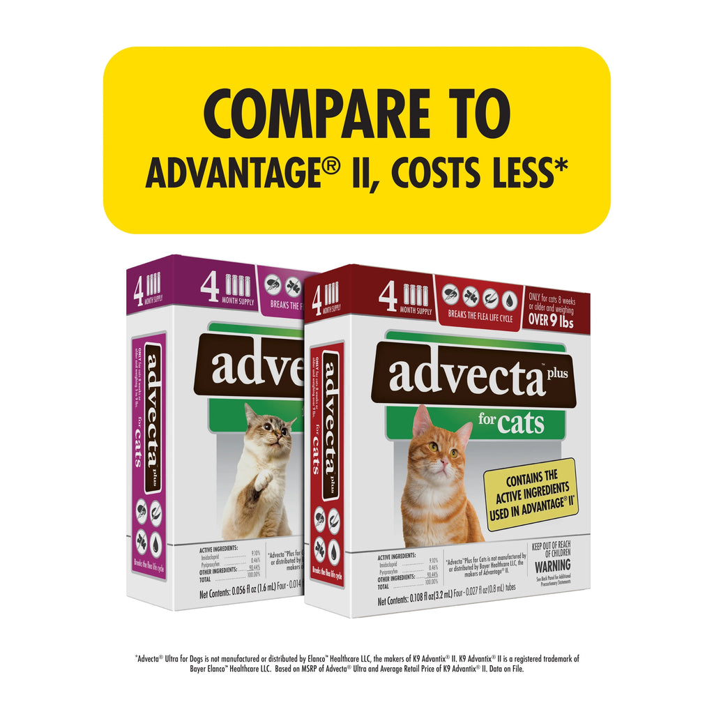 Flea Protection for Large Cats, 4 Count T1679