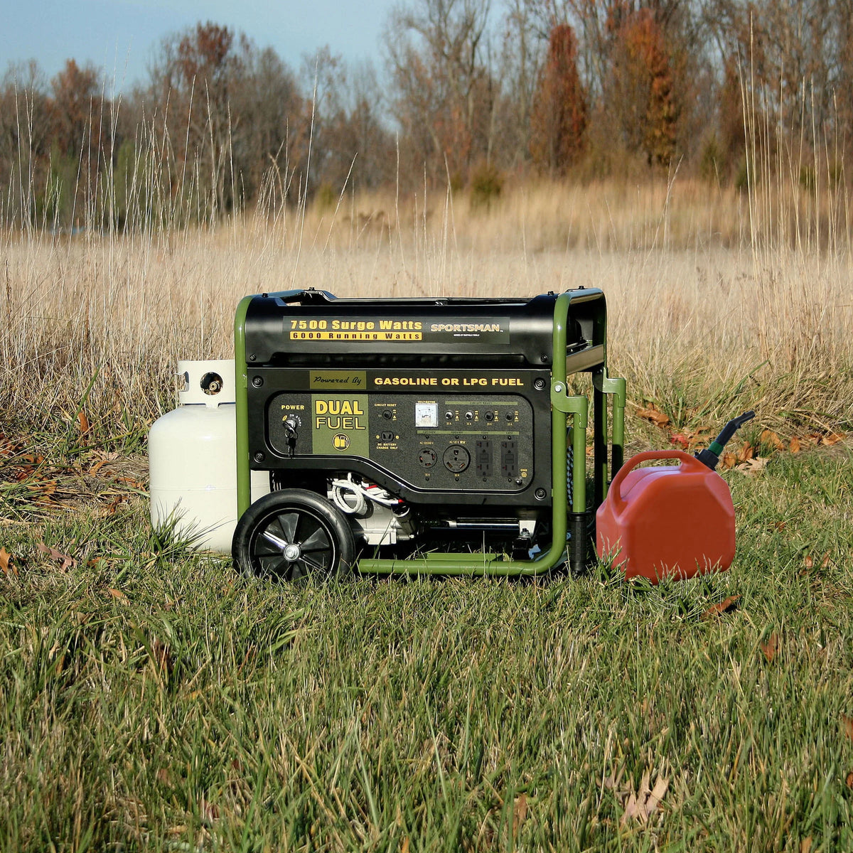 7500 Watts Dual Fuel Portable Generator F99931