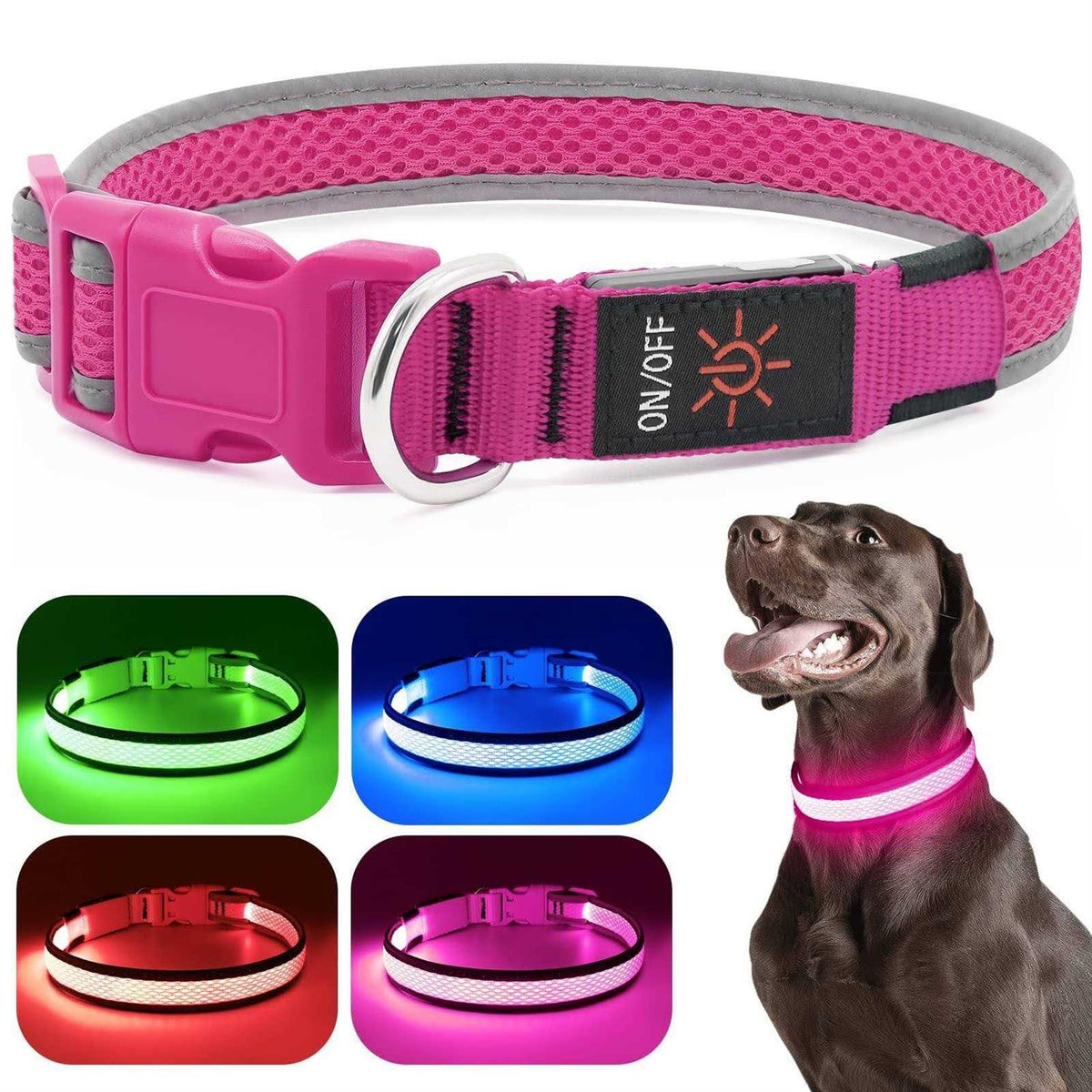 LED Dog Collar USB Rechargeable Light Up R354293