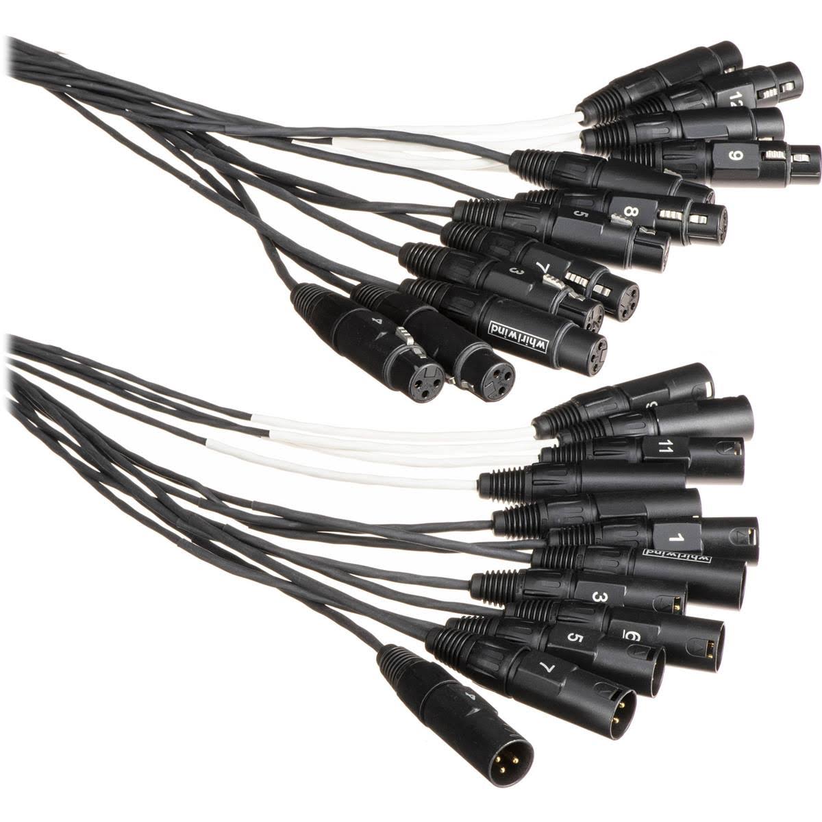 12 XLRF to 12 XLRM Snake Fan to Fan - 50 ft T153