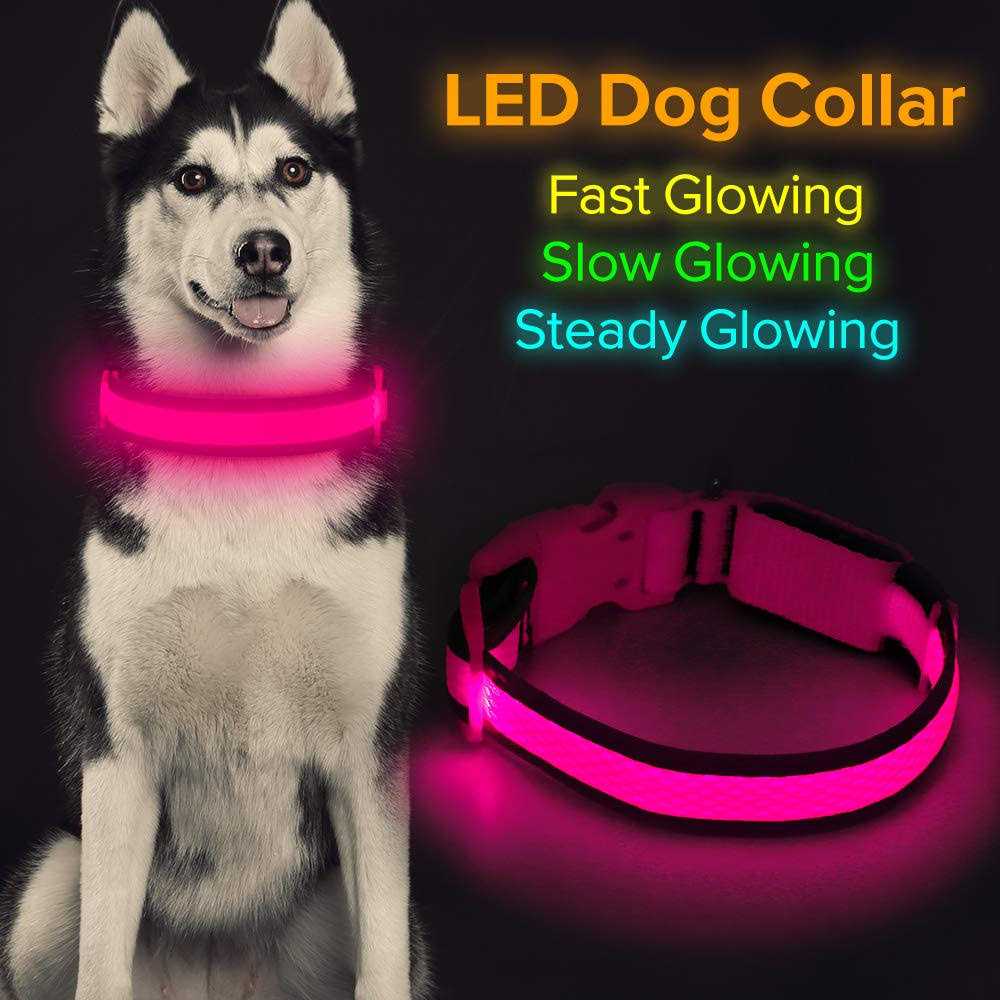 LED Dog Collar USB Rechargeable Light Up R354293