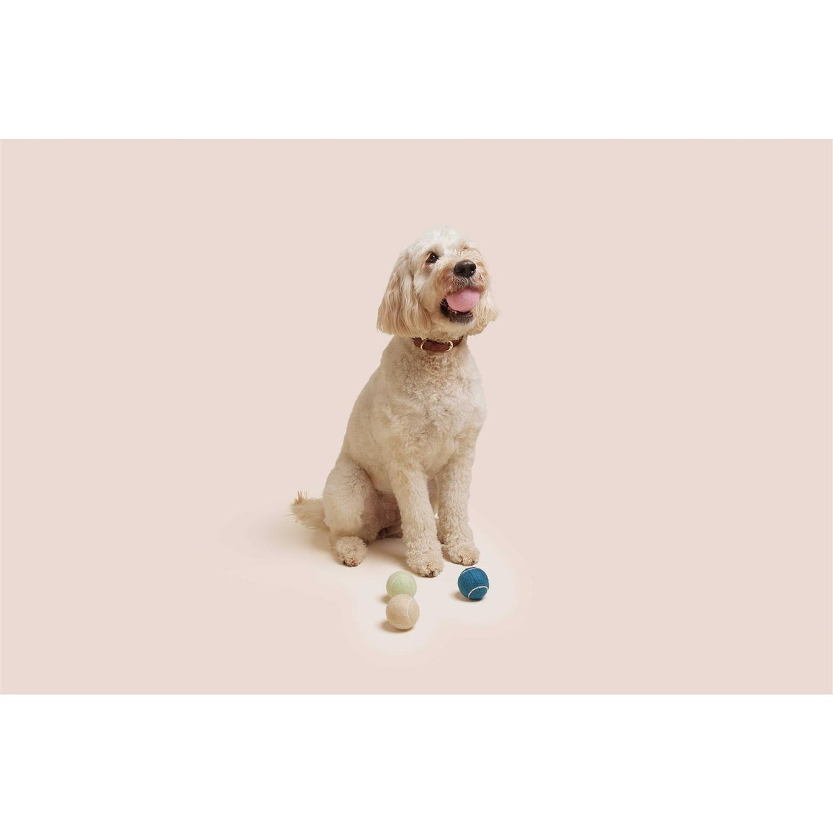 Dog Tennis Balls B69293