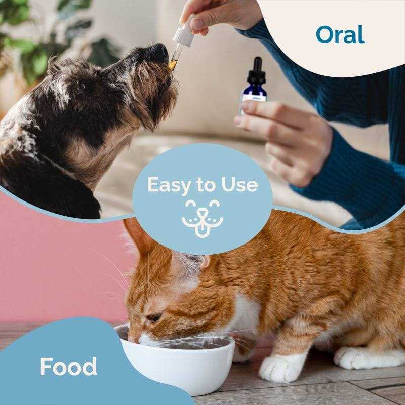 Nervous System Support for Dogs Q793