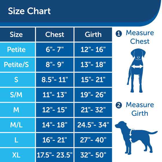 Dog Harness A319668