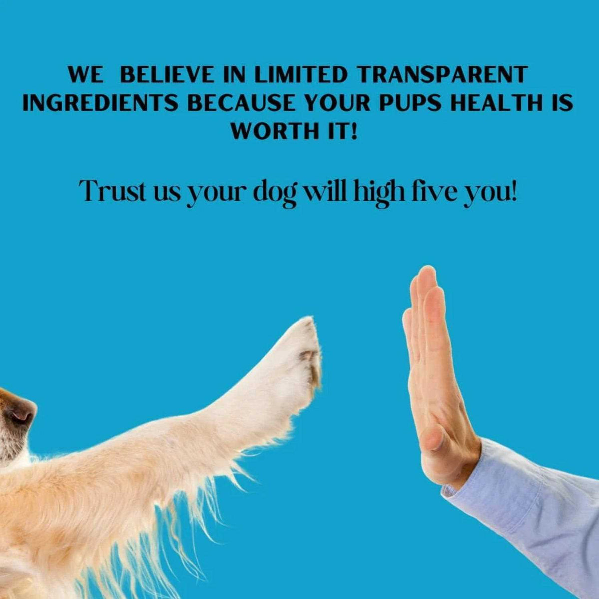 Beef Broth Dog Treat B384910