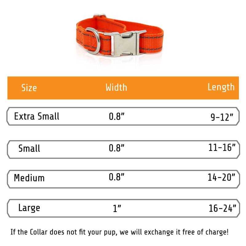 Personalized Dog Collars A774414