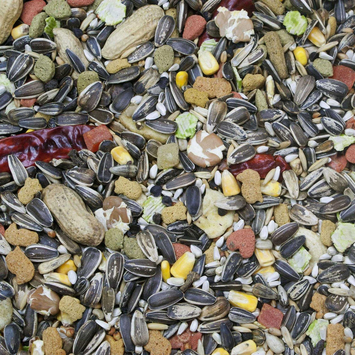 Parrot Food S9796
