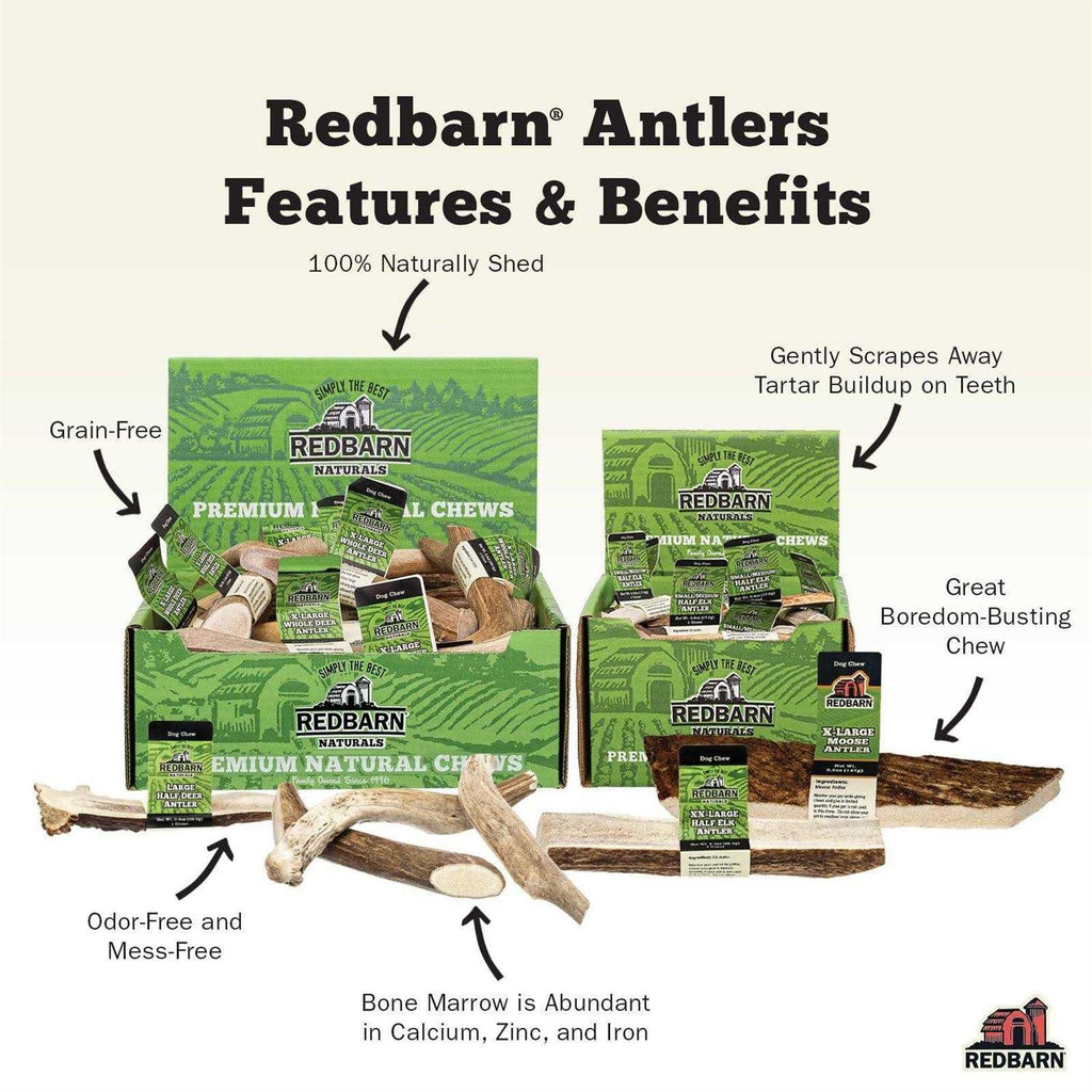 Deer Antler U6470