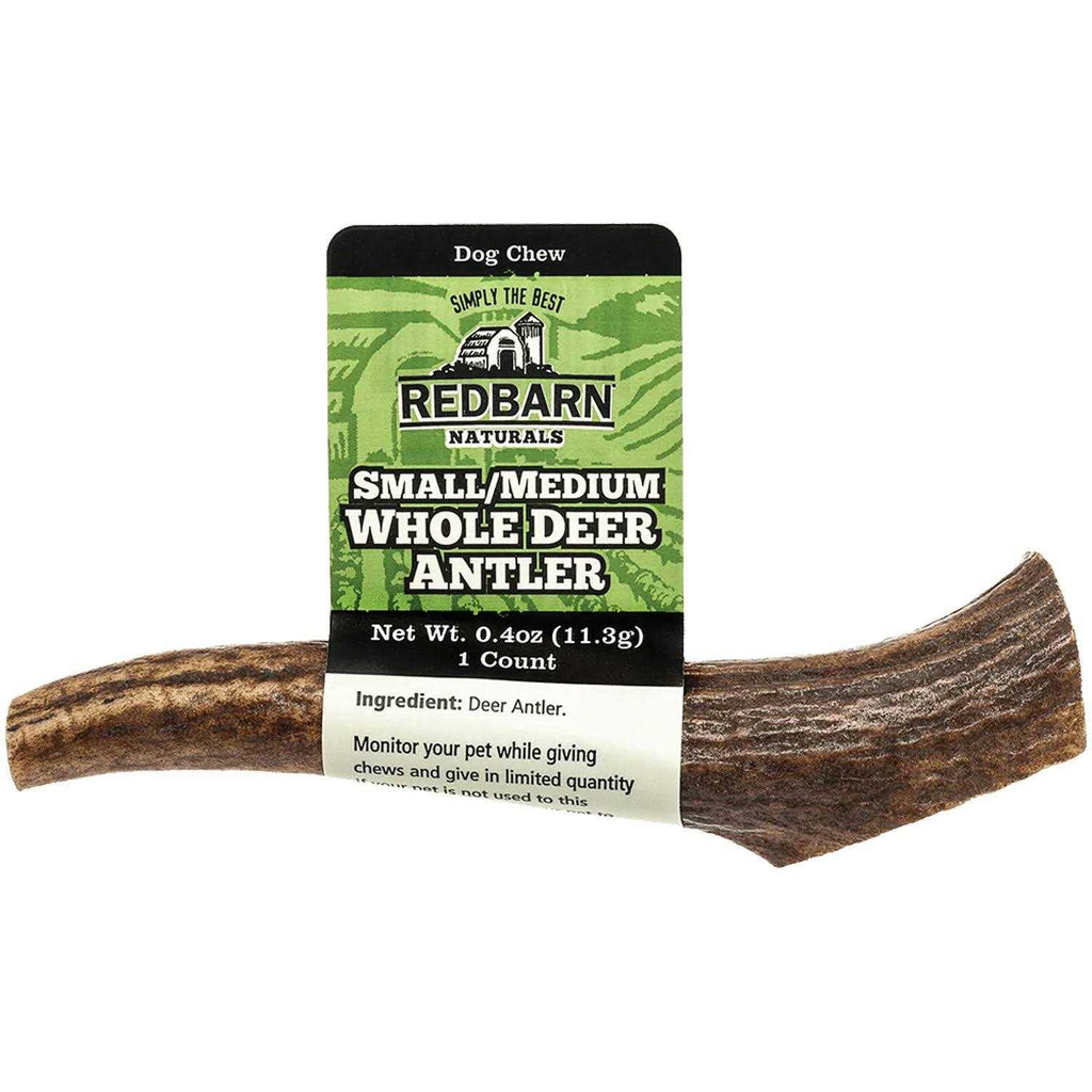 Deer Antler U6470