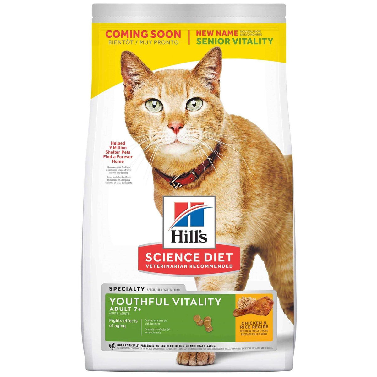 Senior Dry Cat Food R242