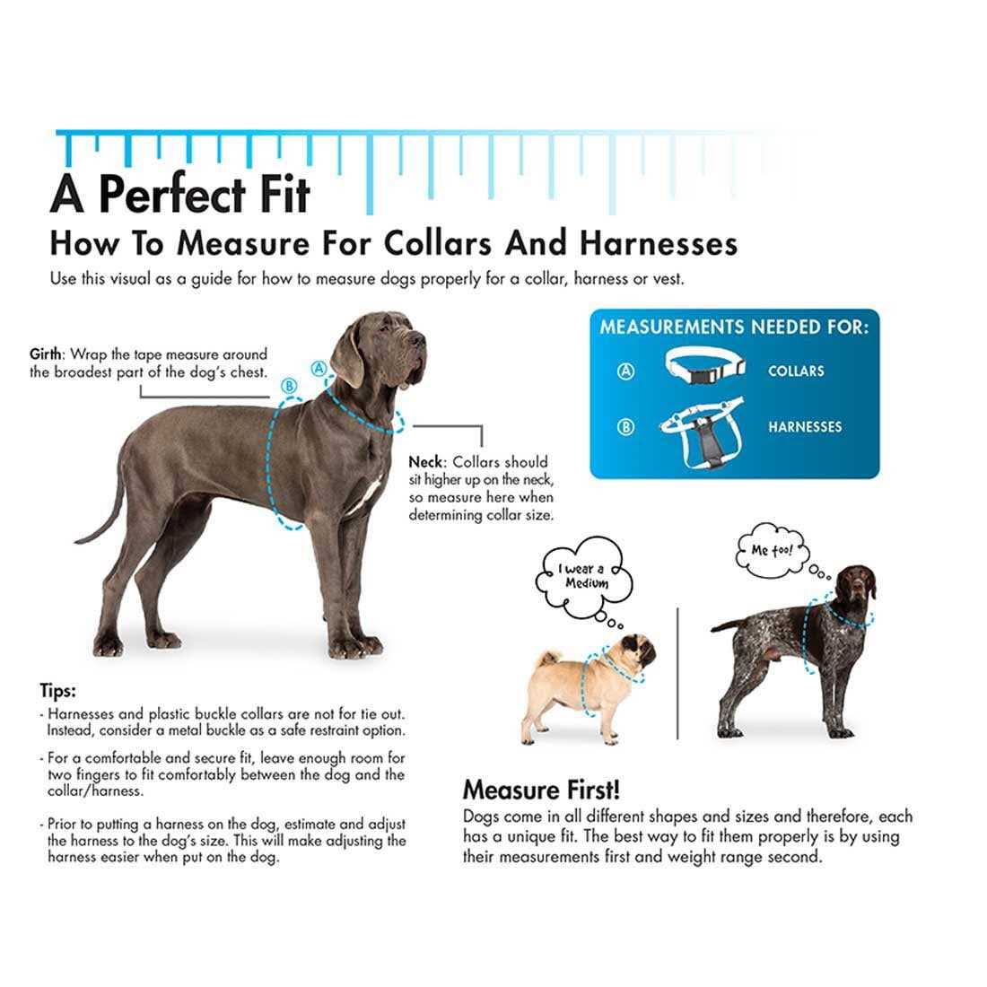 Chain Dog Training Collar I91406