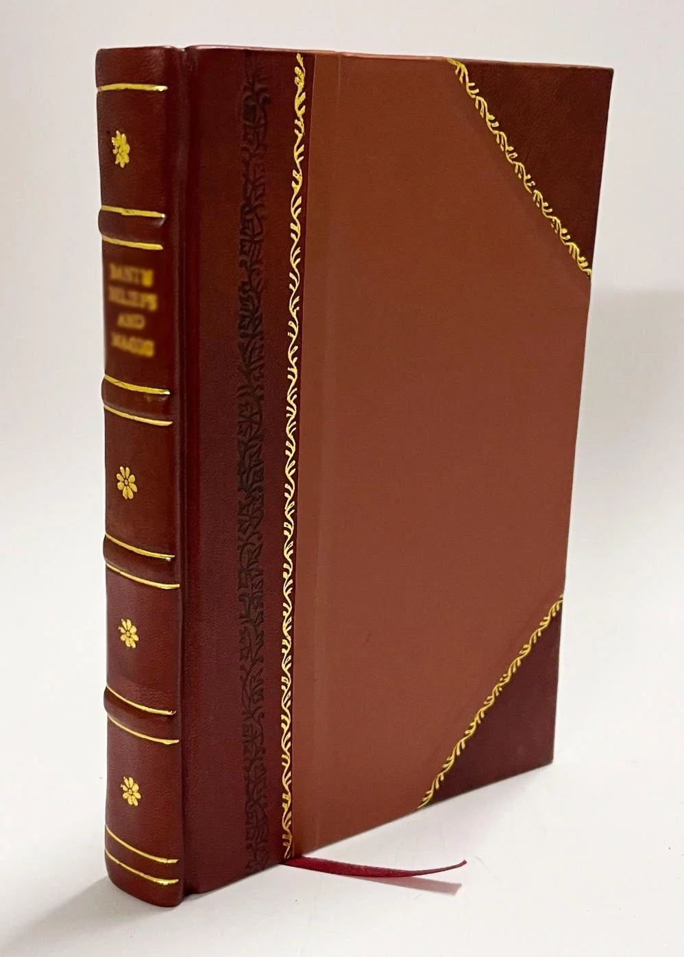 Natural History Animals Vegetables Minerals Leather Bound O46943