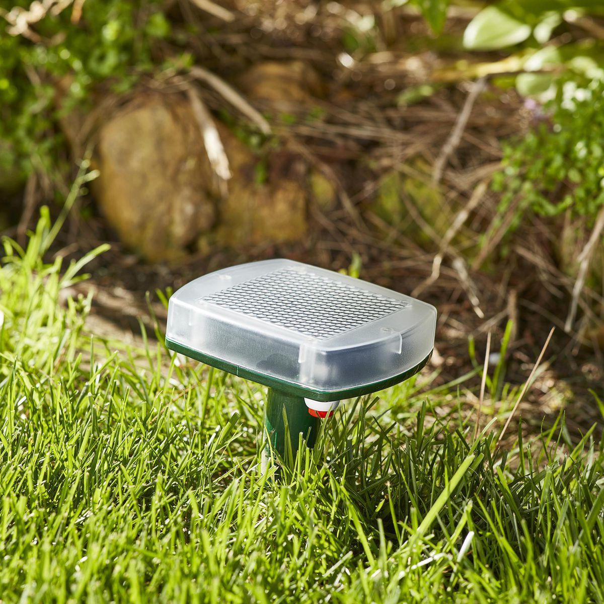 Solar Mole and Gopher Chaser O3266