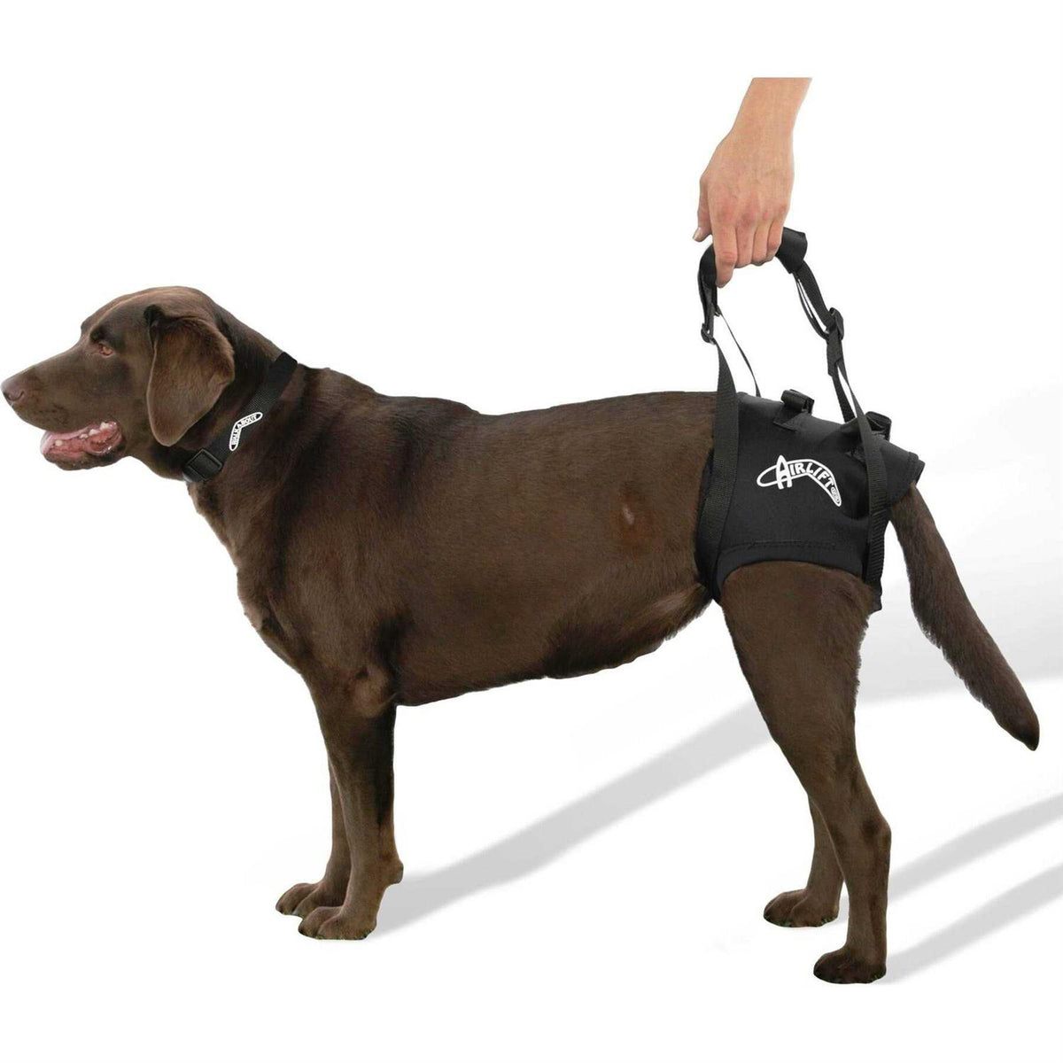 Support Harness Q566860