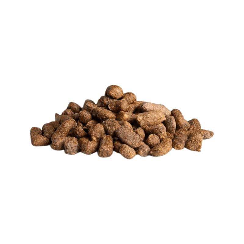 Freeze-Dried Raw Dog Food F9450