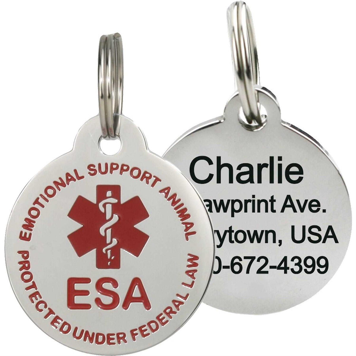 Personalized Dog & Cat ID Tag Z54565