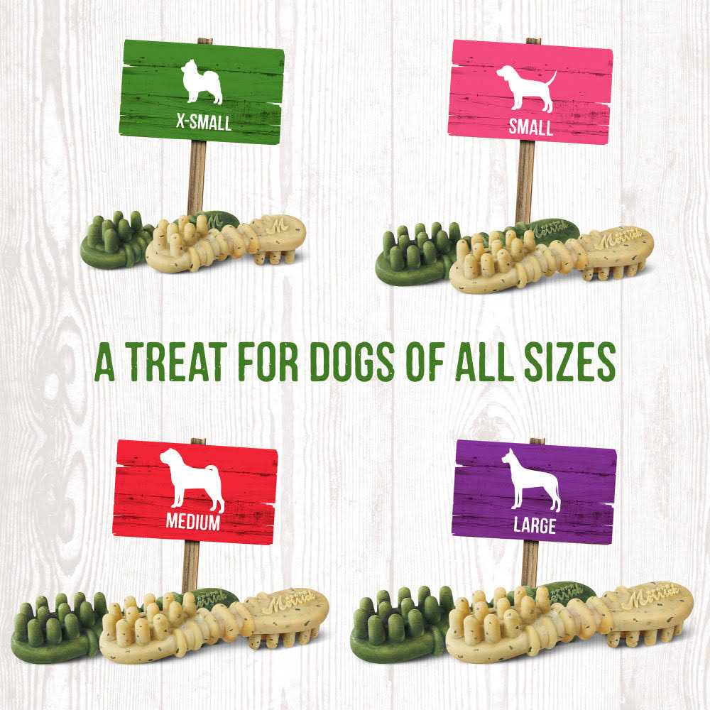 Dental Dog Treats X8293