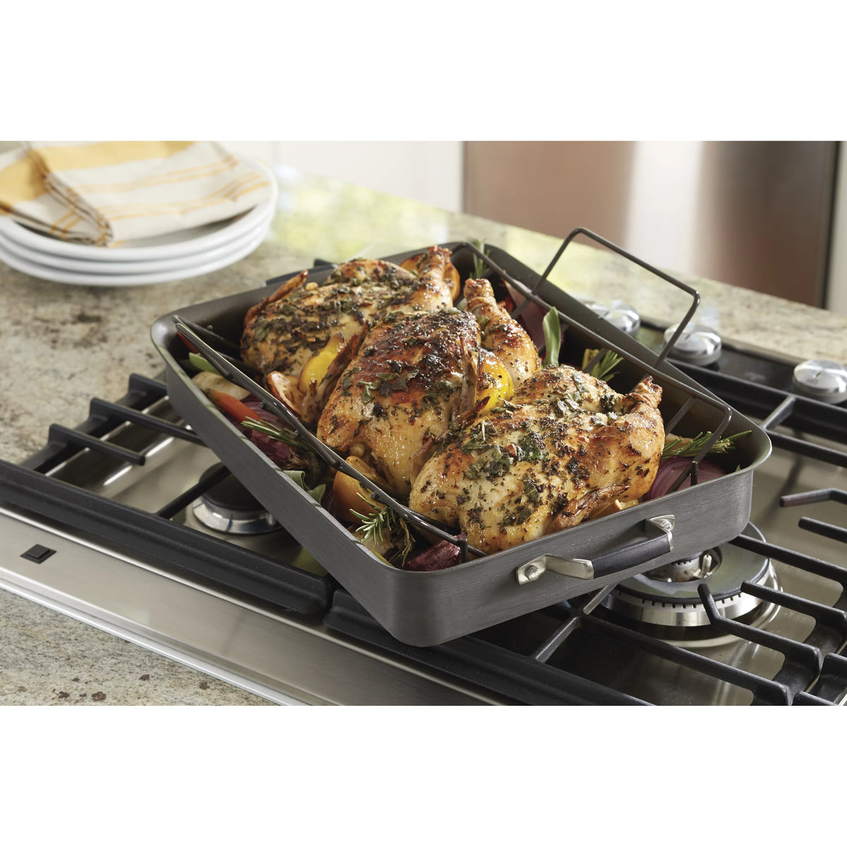 Hard-anodized Nonstick 16-Inch Roaster with Rack N290591