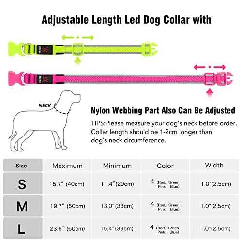 LED Dog Collar USB Rechargeable Light Up R354293