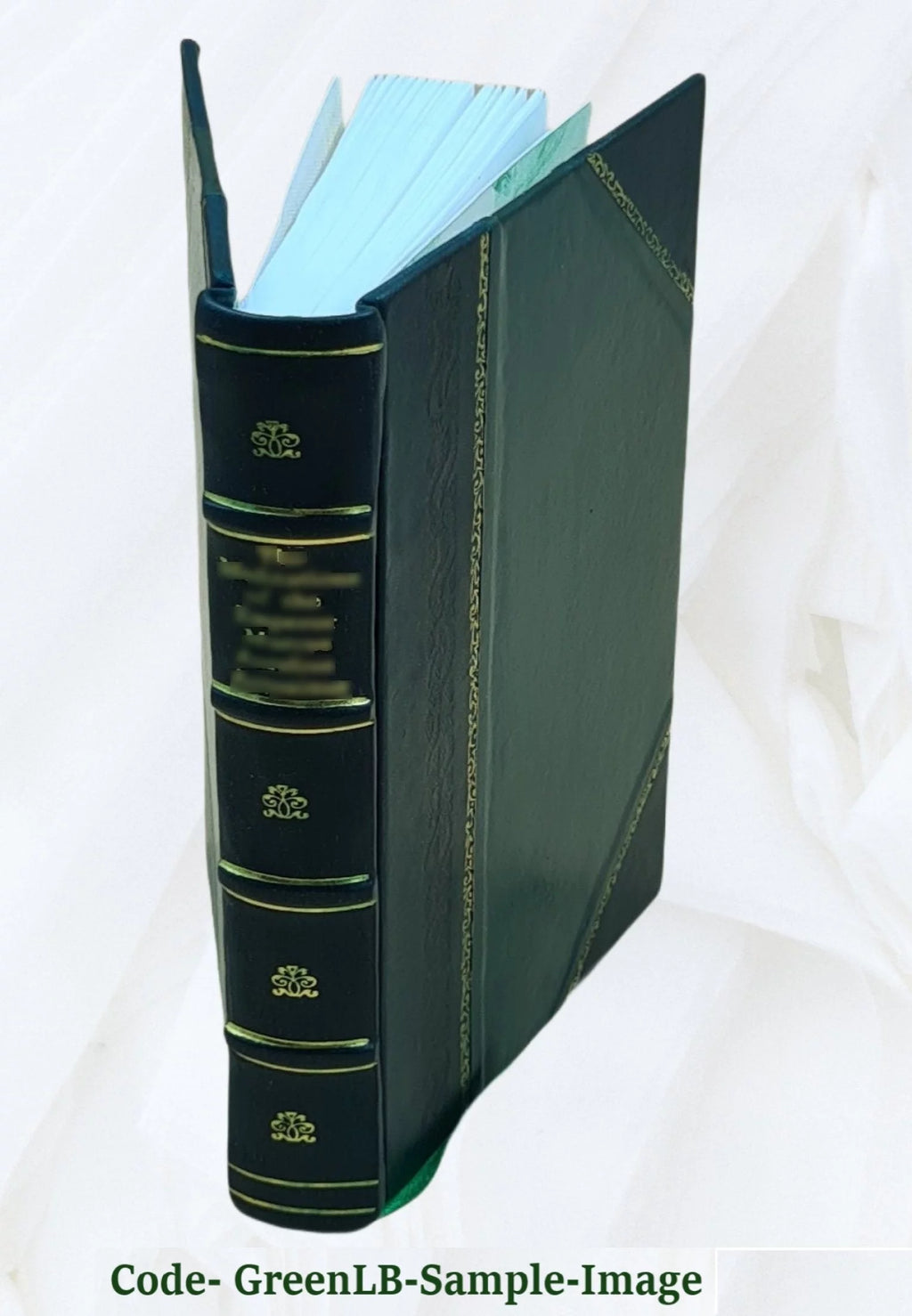Leather Bound S36234